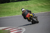 Lower Group Yellow Bikes